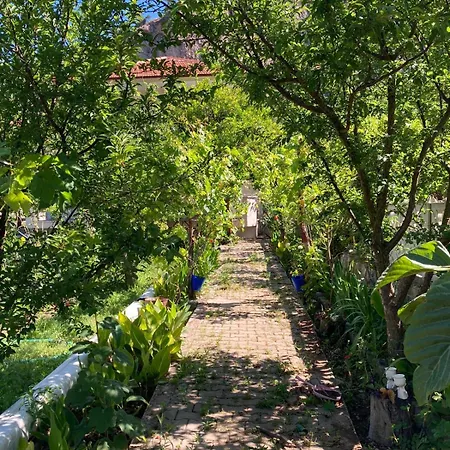 Sdogu Evleri マルマリス